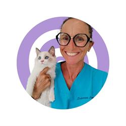 Ambulatorio Veterinario Assembri