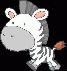 zebra hostel