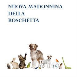 Nuova Madonnina della Boschetta