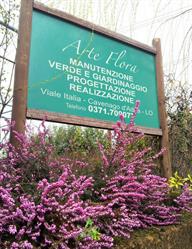 Arte-Flora Di Scartabellati Alessandro