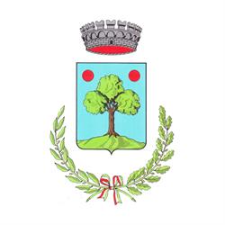 Comune Di Angiari