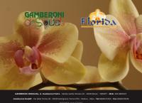 Florida S.a.s. Di Petrovich e C. Commercio Di Piante