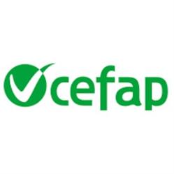 Cefap - Fvg