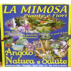 La Mimosa Piante e Fiori - Articoli da Regalo