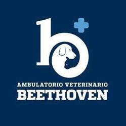 Ambulatorio Veterinario Associato Ludwig Van Beethoven