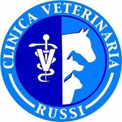 Clinica Veterinaria Di Russi - Associazione Professionale