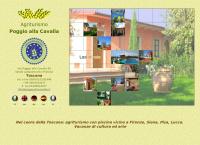 Sito di Agriturismo Poggio Alla Cavalla
