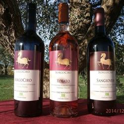 Azienda Agricola Borgociro S.n.c. Di Sebastiano Bianca & C.