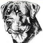 Il Rottweiler Ed Altro Di Domenico Ligorio Individuale