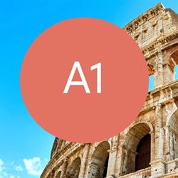 A1 Institute - Societa' Cooperativa