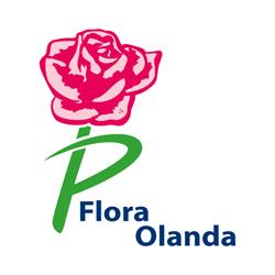 Flora Olanda S.r.l