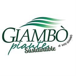 Giambo' Piante Di Giambo' Vito