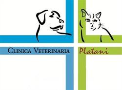 Clinica Veterinaria Platani Ragusa