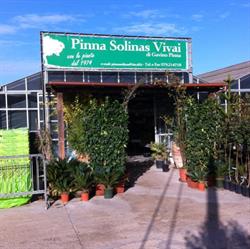 Vivai Pinna Solinas Srl Vivaio Fiori E Piante