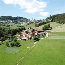 Haflinger-Hof