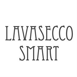 LAVASECCO SMART e C. SNC DI CASSANMAGNAGO NICOLETTA E ROBERTA