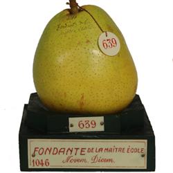 Museo Della Frutta Francesco Garnier Valletti