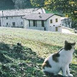 Agriturismo Colle Del Capitano