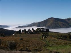 Azienda Agricola Frascole