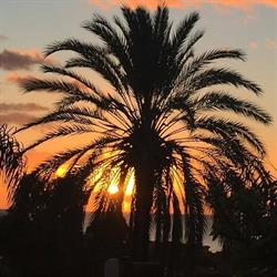 B & B Porto Ulisse