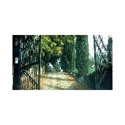Bed & Breakfast Villa Rosa