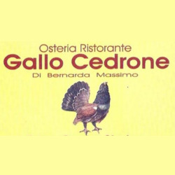 Osteria Ristorante Gallo Cedrone