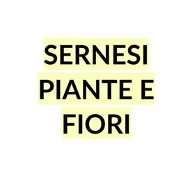 Sernesi Piante e Fiori