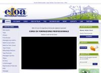 Sito di Efoa International