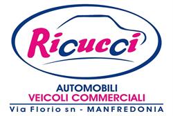 Ricucci Automobili