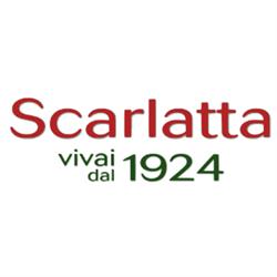 Centro Piante Scarlatta dal 1924