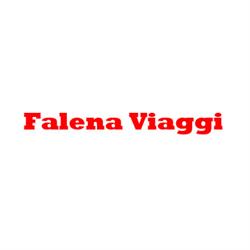 Falena Viaggi