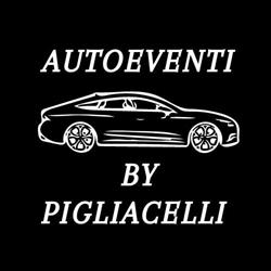 Pigliacelli Auto S.r.l