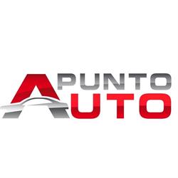 Punto Auto SRL