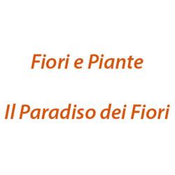 Fiori e Piante Il Paradiso dei Fiori