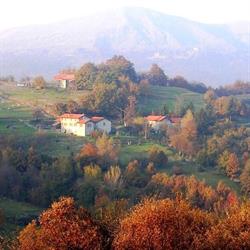 Agriturismo la Sereta Pisani Roberto