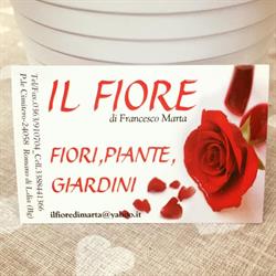 Il Fiore di Marta Francesco