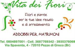 Vita Dei Fiori Di Cesario Vita Fiorista