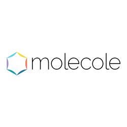 Molecole Web Agency