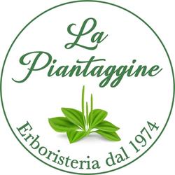 Erboristeria Online La Piantaggine