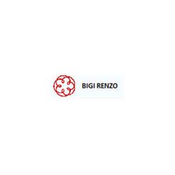 Renzo Bigi Commercialista