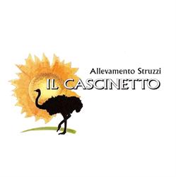 Allevamento Struzzi Il Cascinetto