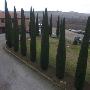 Creazione di Giardini