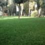 Manutenzione Giardini