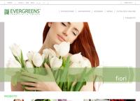 Evergreens Group
