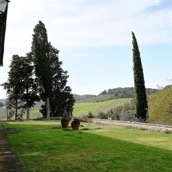 Fattoria Montanine - Azienda Agricola