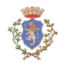 Comune Di Salo'