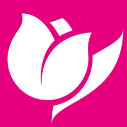 Il Tulipano S.N.C. Di Il Tulipano S.R.L.
