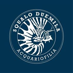 Squalo 2000 Di Ionni Catia & C. S.n.c