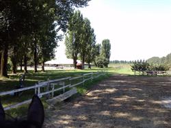 Centro Ippico Citta' Di Mantova