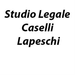 Studio Legale Caselli Lapeschi